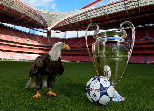 克里斯蒂亚诺·罗纳尔多跨界拳击初尝胜负，尽显超级巨星风采于经典体育赛事舞台